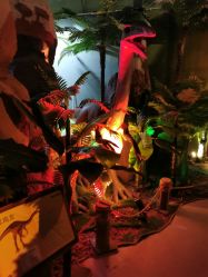 点击看大图 -恐龙探索乐园(磁器口店)