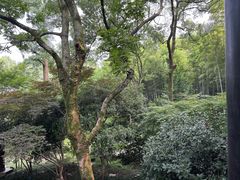 -杭州黄龙洞