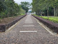 -苏家围·东江画廊旅游景区