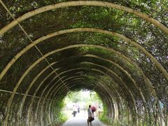 -同里国家湿地公园