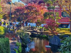 -浅草寺