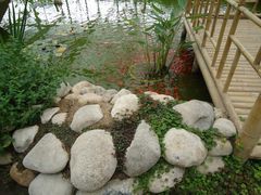 景点-观光南瓜园