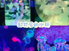 -正佳极地海洋世界