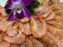 -小海豚•老字号海鲜餐厅(天涯店)