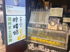 -猫的魔法密林(衣裳街店)