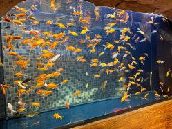 -Zoolung Zoolung动物主题公园(海信广场店)