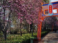 -洛阳市隋唐城遗址植物园