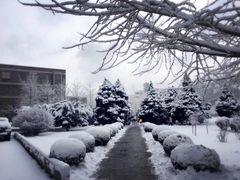 -辽宁大学(崇山校区)