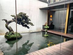 -觀芷隐轩