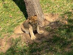 -北京野生动物园