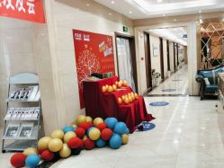 -碧莲盛·不剃发植发