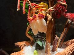 -蟹犇前•帝王蟹雪蟹(陆家嘴店)