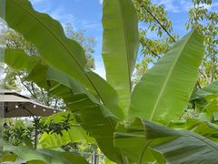 -茅草房·河畔园林火锅