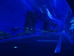 -成都浩海立方海洋公园