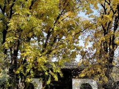 -晋祠公园