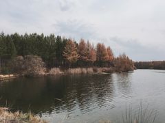 -塞罕坝国家级自然保护区