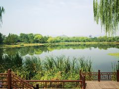 -北坞公园