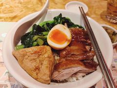 金奖卤鹅肉饭-陈鹏鹏潮汕菜(宝安机场T3航站楼店)