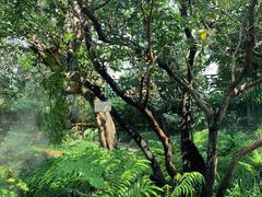 -Chom Cafe and Restaurant