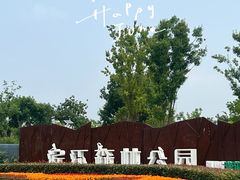 -上海滨江森林公园