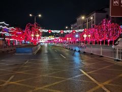 -杨柳青庄园