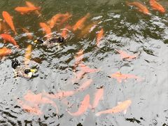 -浙江省博物馆(孤山馆区)
