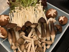 菌菇拼盘-大头椰·海南椰子鸡火锅(思明万象城店)