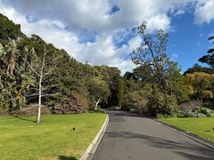 -墨尔本皇家植物园