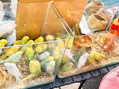 -丽达购物中心(崂山店)