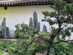-上海醉白池公园