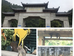 -黔灵山公园