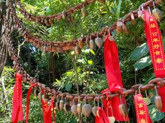 -杭州黄龙洞