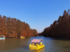 -上海海湾国家森林公园