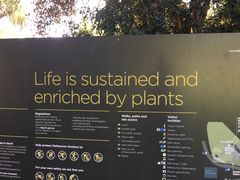 -墨尔本皇家植物园