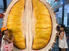 -都念榴莲·城市榴莲