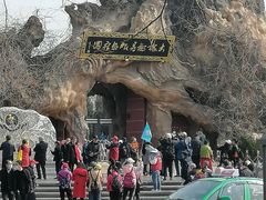 -大槐树寻根祭祖园