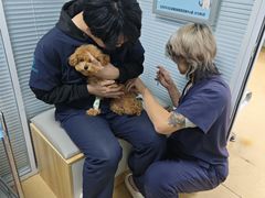 -瑞派·关忠动物医院·猫专科·犬专科(三环新城店)