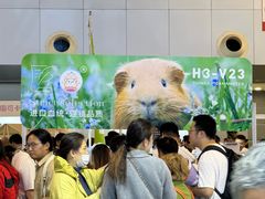 -东浩兰生上海世博展览馆