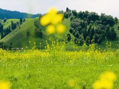 -新疆那拉提国家旅游度假区