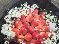 -Tiffany & Co.蒂芙尼
(广州太古汇店)