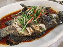 -众味海鲜大排档·活海鲜·潮汕味(南澳店)