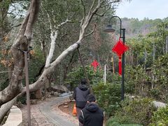 -雨花胜境