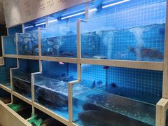 -聚丰园•湖鲜餐厅(阿红私房菜梅石路店)