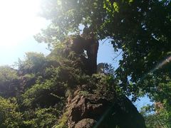 -吉林拉法山