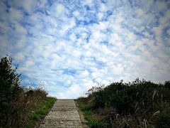 -青芝山风景名胜区