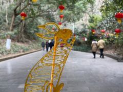 -黔灵山公园