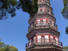 -顺峰山公园