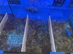 -启东小海鲜(庄先湾路1号店)