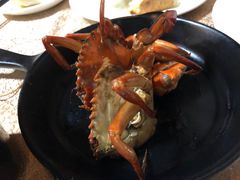 -莲花公园煎蟹(总店)
