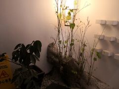 -生机蔬食·24节气料理餐厅(番禺广场店)